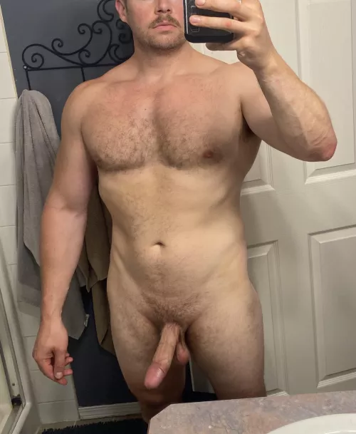 Smash or pass this ol heap