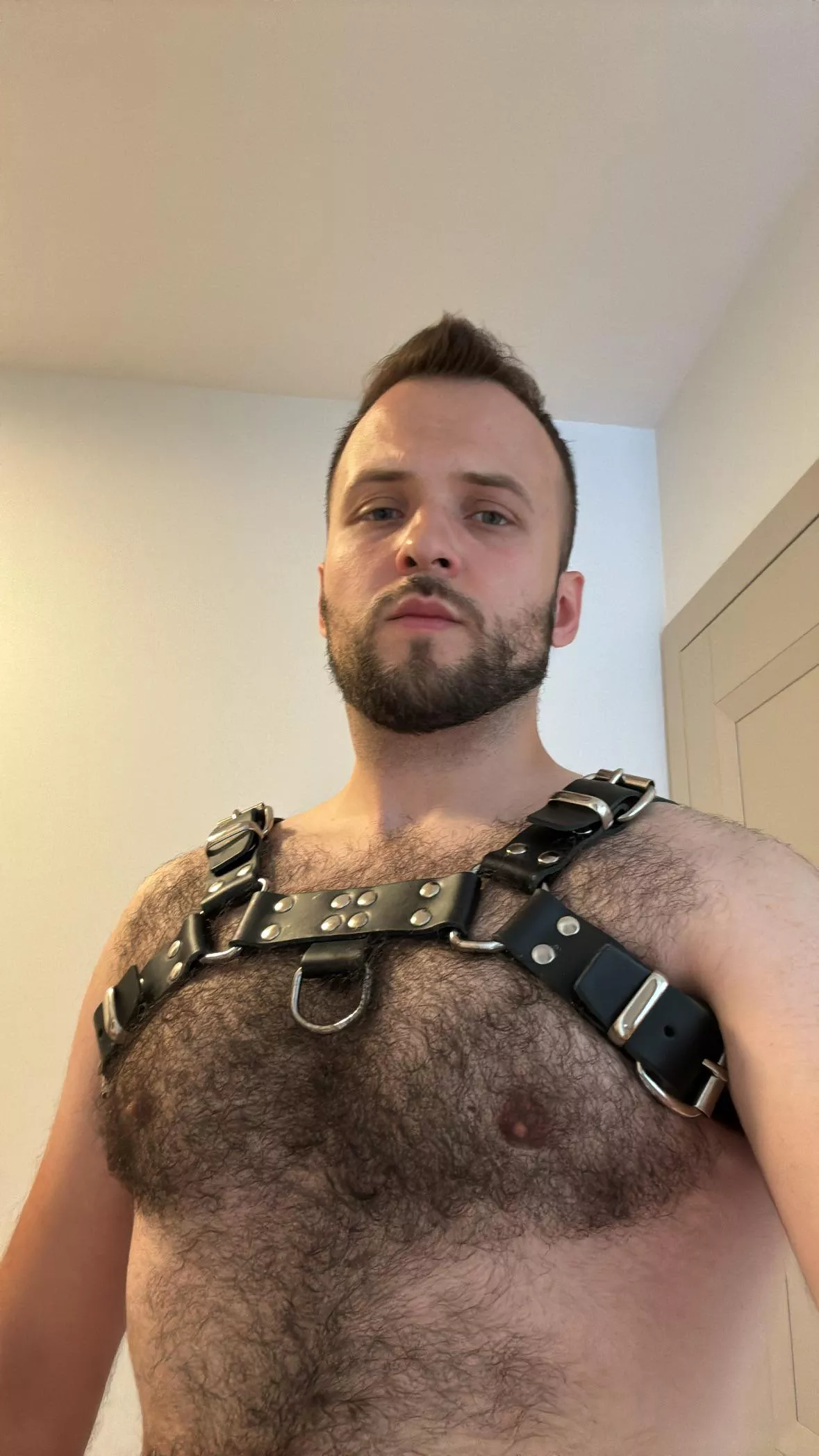 Thick fur + harness = ?