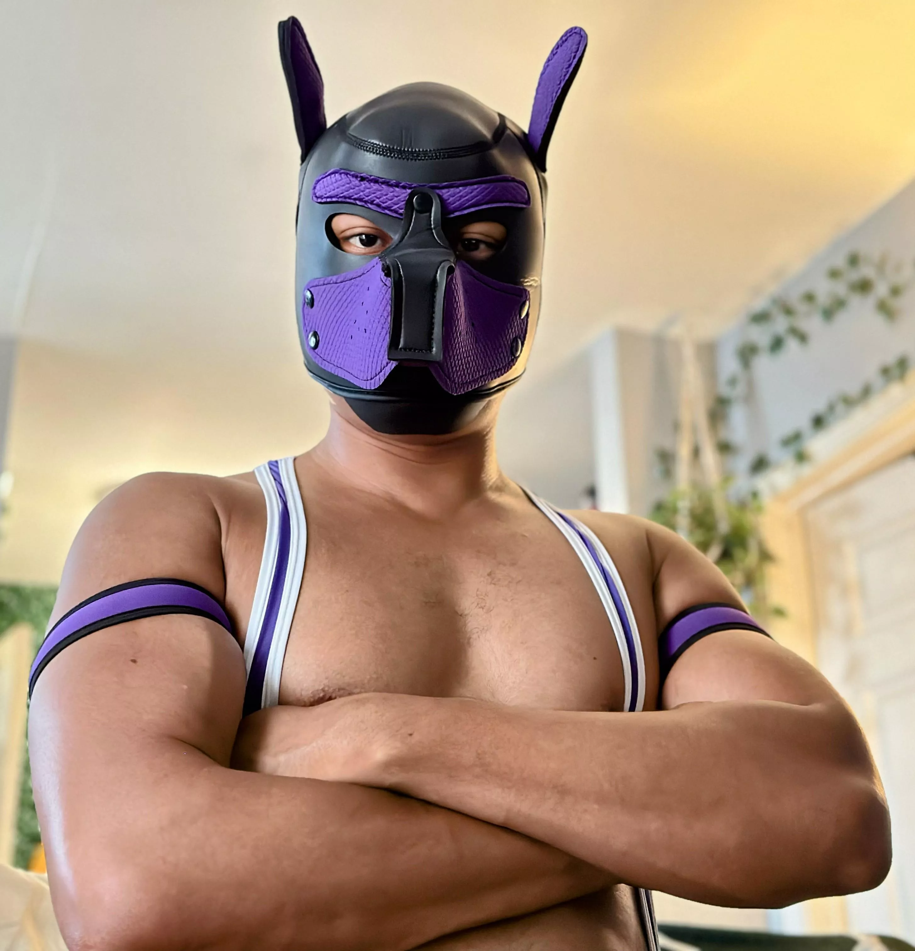 Unleashing a new adventure! 🐾