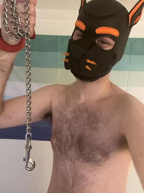 Wanna go for a walk? If you’re good I won’t have to tug on the leash too hard hehe 😈