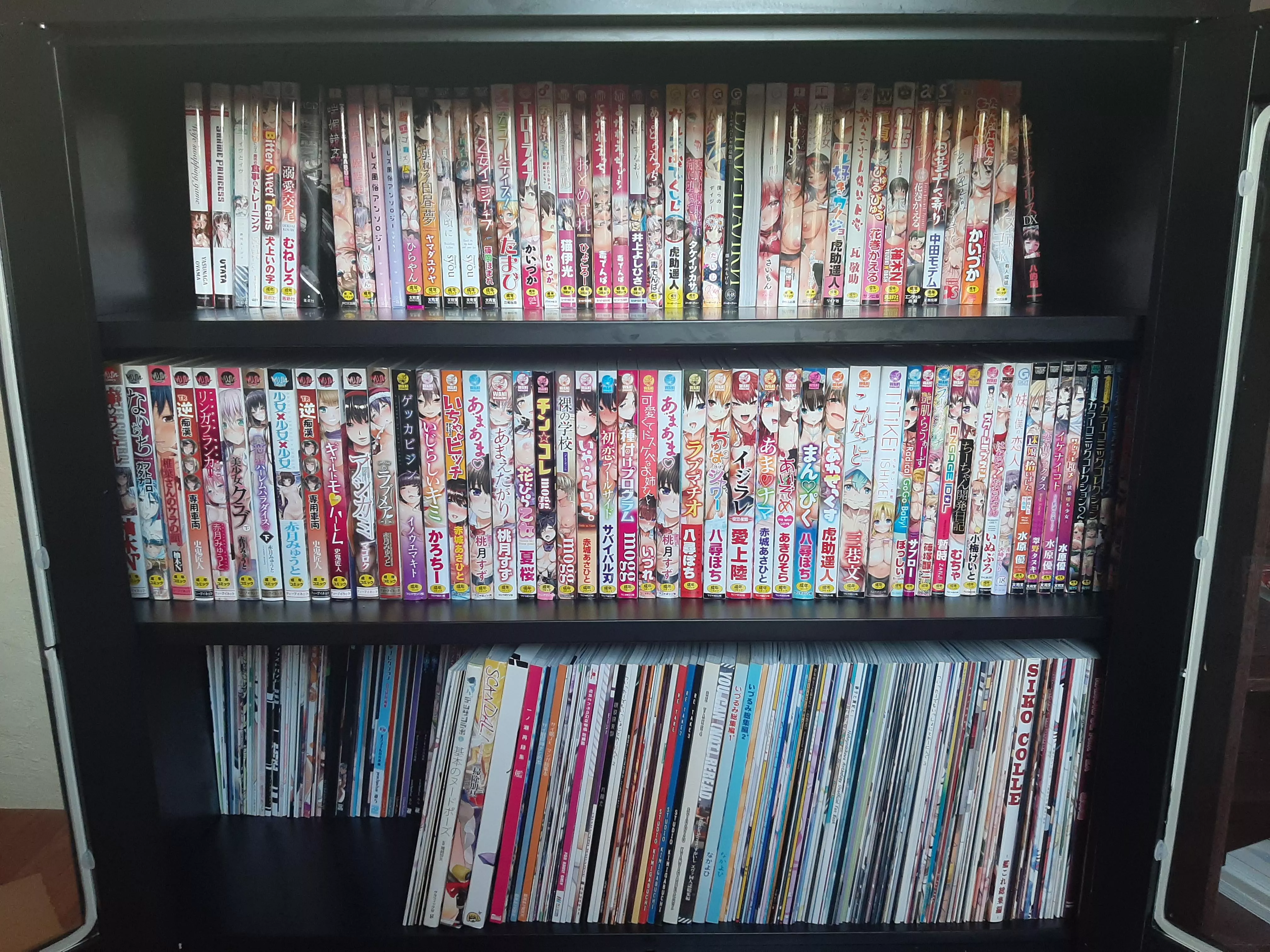 Which application do you use to list the doujins you own?