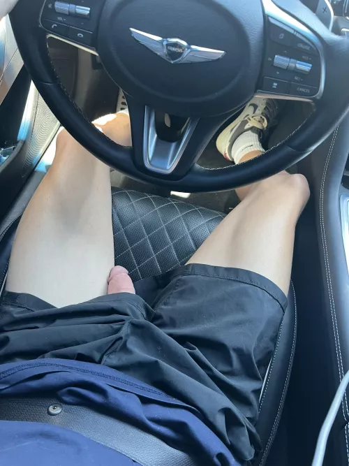 would you suck it while i drive?