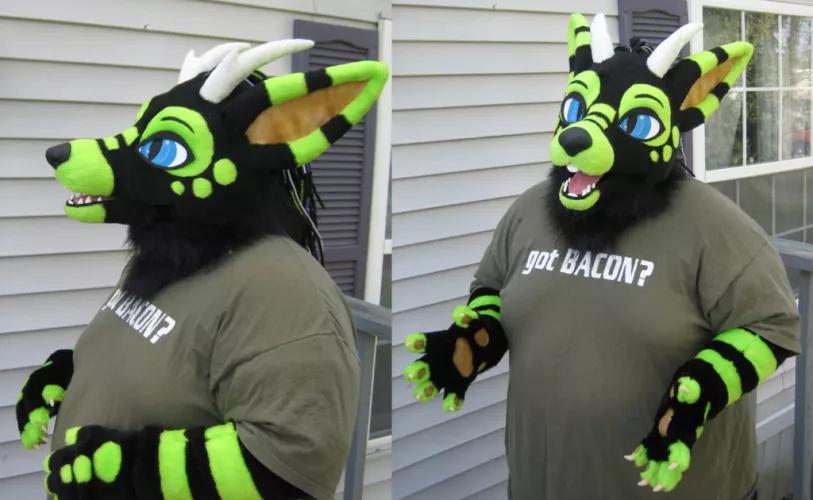 Got my own Fursuit (Well partially) :D I was hesitant to show myself since I am pretty self concious about my chonky apperance. But here ya go