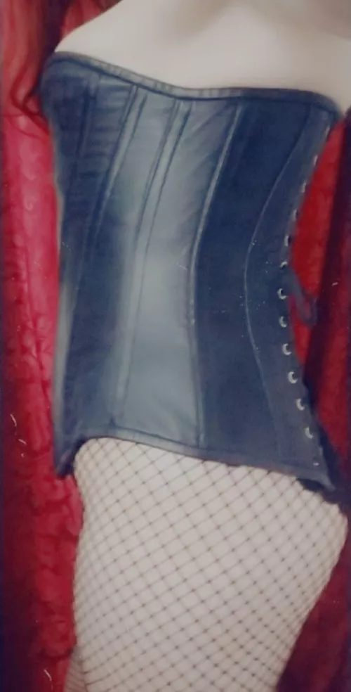 Leather and steel boned security 