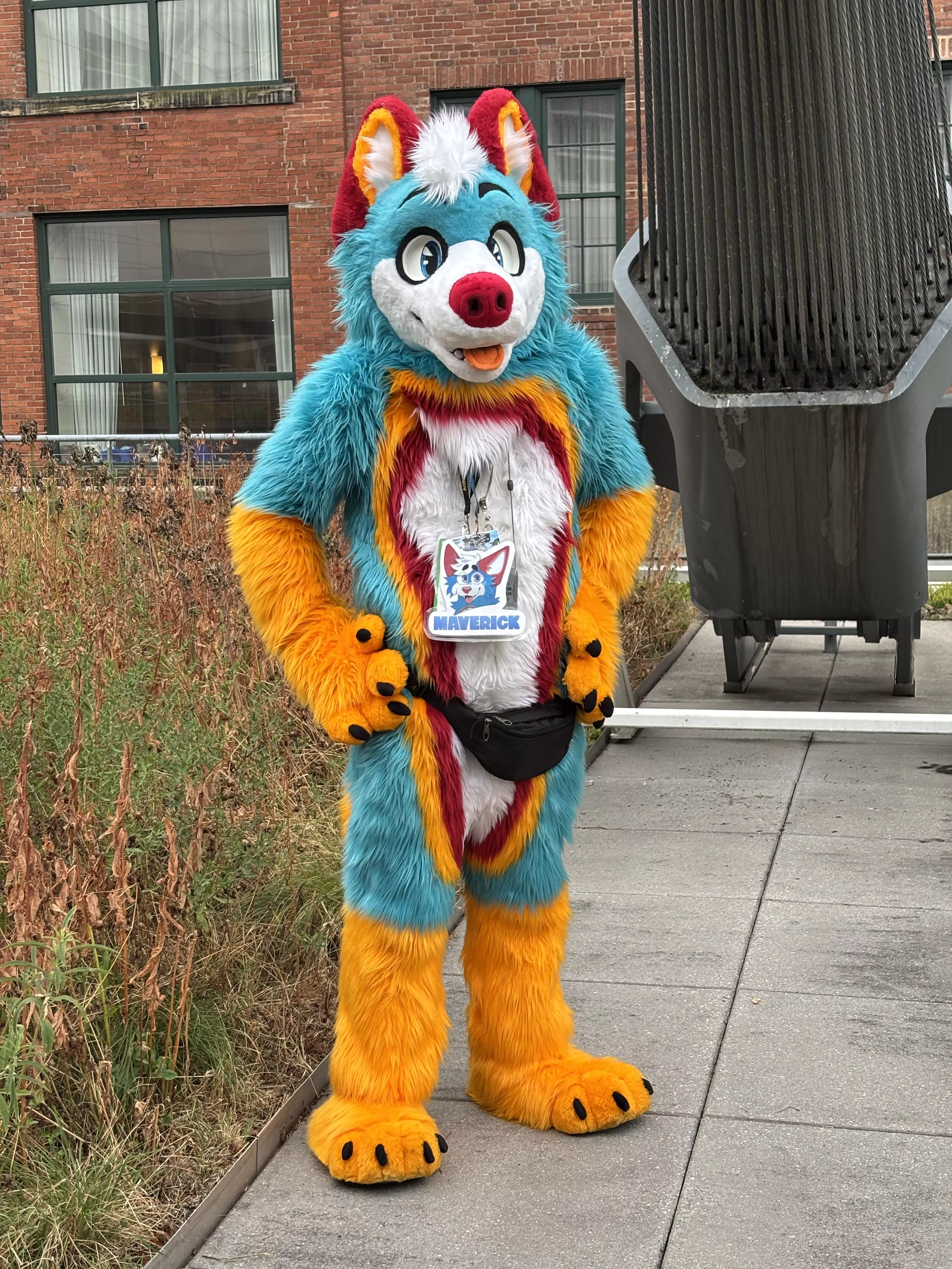 This husky is on the search for some hugs, would you give him one?