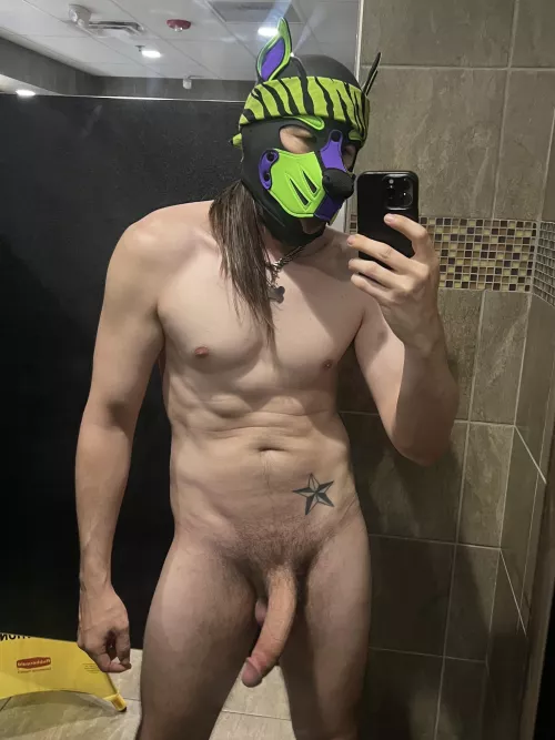 All boned up at them gym! 🐶