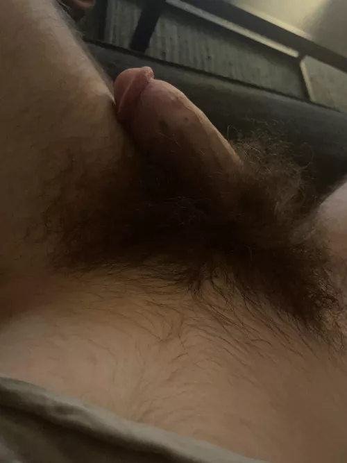 Hope you like my bush