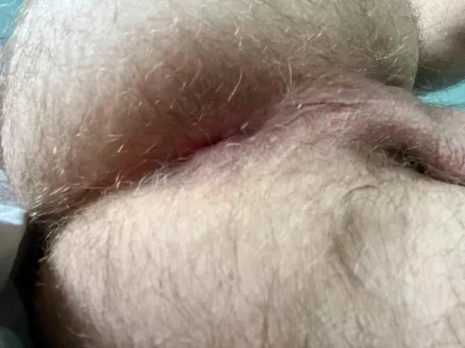 Say “yes” if you like a hairy arse 😏