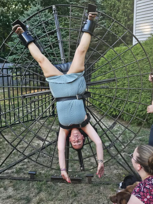 Setting up toys for the weekend