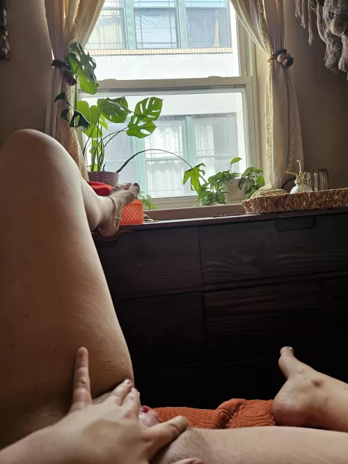 What would you do if you were my neighbor?