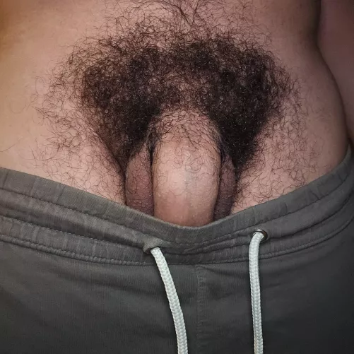 You gonna pull them down bro