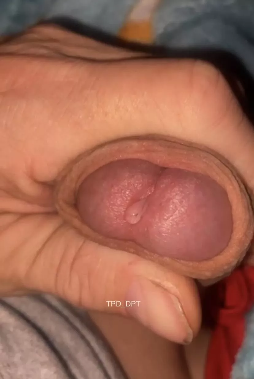 (52) How many licks before you start sucking It?