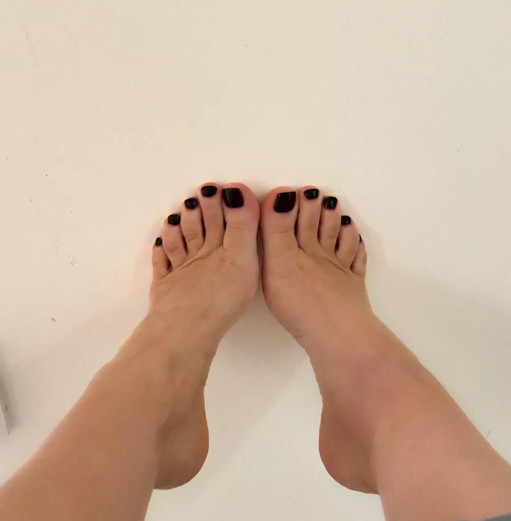 Can’t help but laugh at how many pathetic losers would kill to be my wall right now.