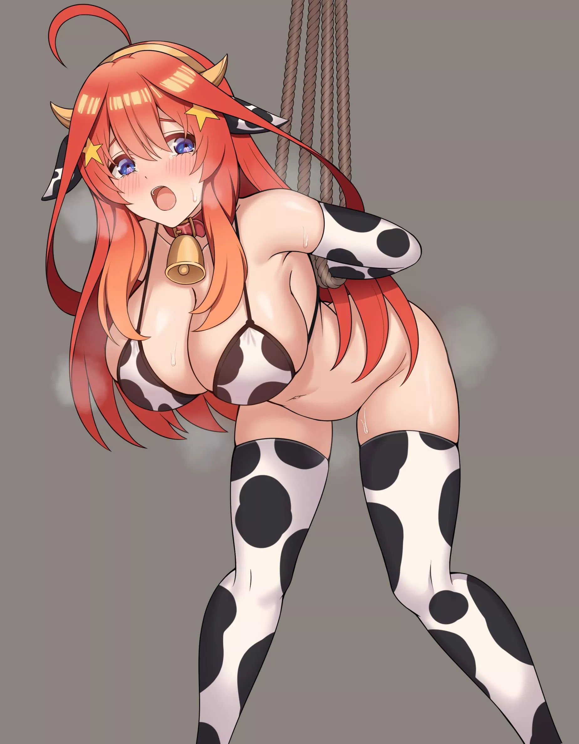 Itsuki The Cow [The Quintessential Quintuplets]