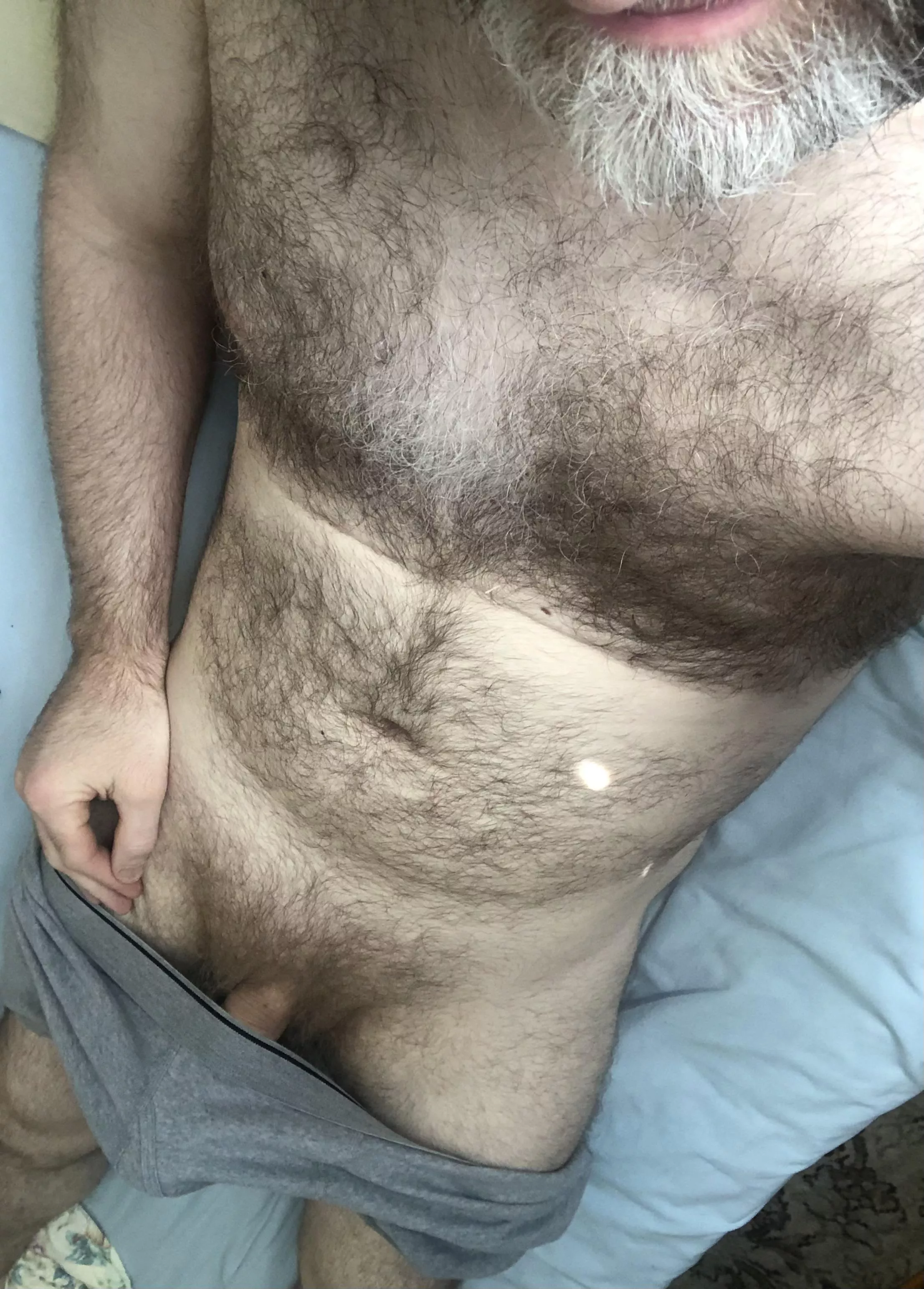 [49] English Hairy Silver Fox 