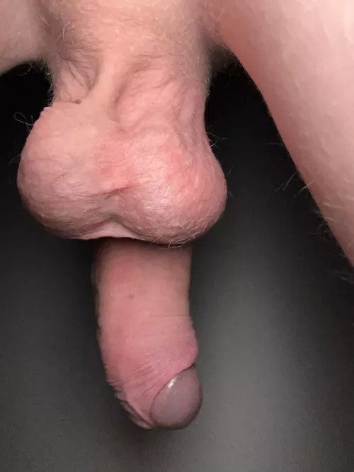 Barely legal nuts anyone?