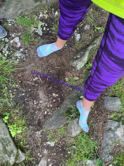 Early morning hike 🌳🌳