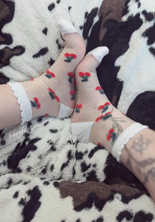 i love cute socks! i have a lemon pair too. wanna see? 