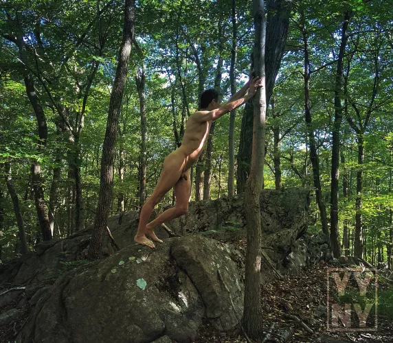 I was told to hold up this tree or all the trees in the forest would fall!! 🌳