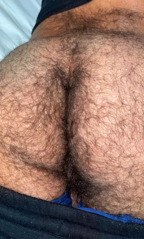 The hair acts like a scent trap