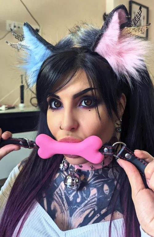 you know I'm gonna bite, right?