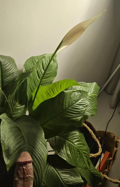 Does this Pic belong here?