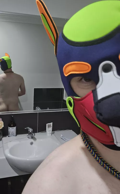 I was feeling naughty 🐶