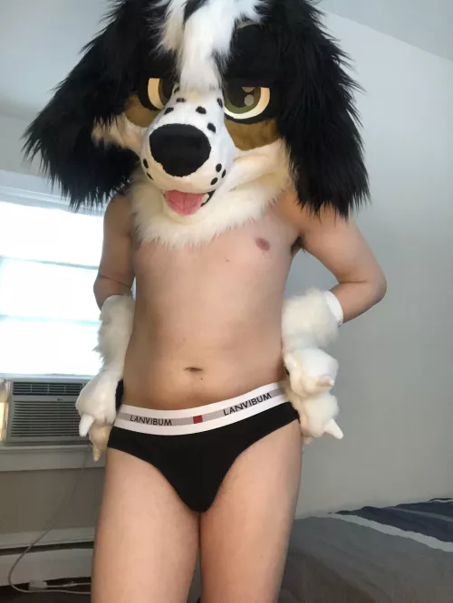 Is this what you call a hot dog?