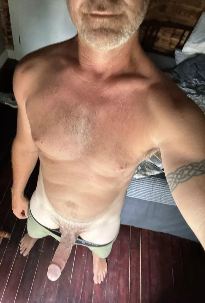 Morning wood [49]