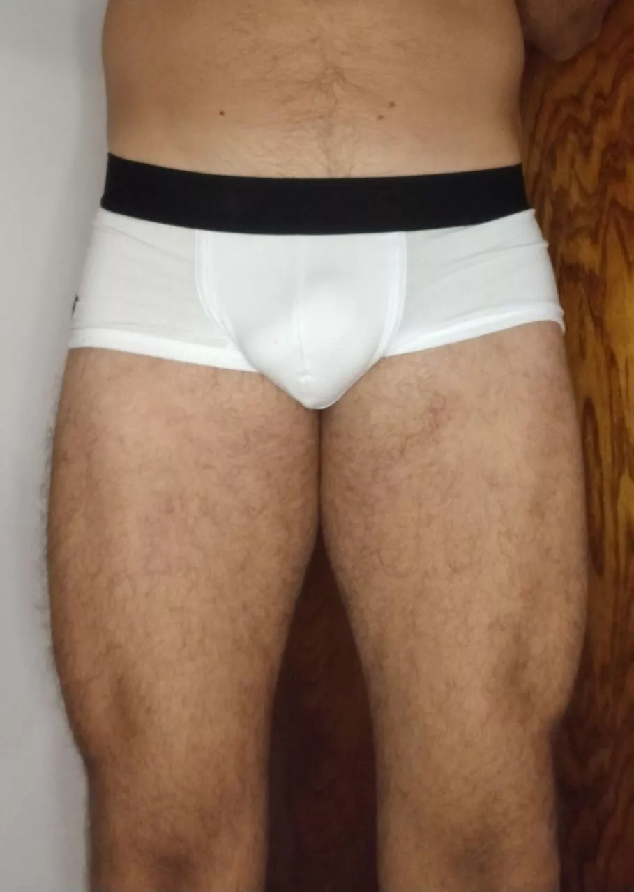 My boxer got smaller 