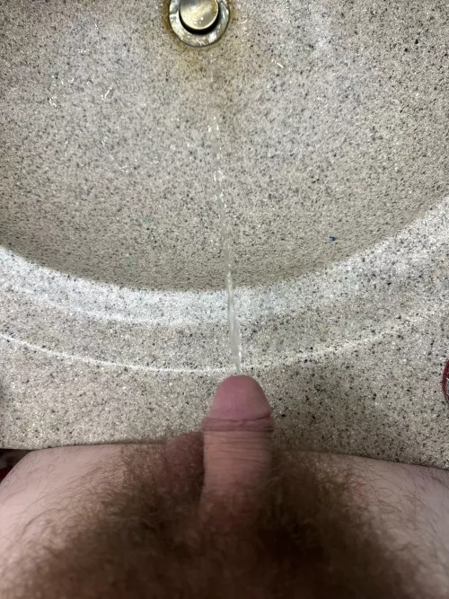 Sink piss