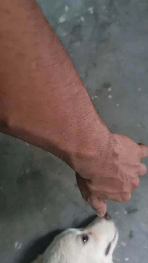 wgo wants to get choked by these