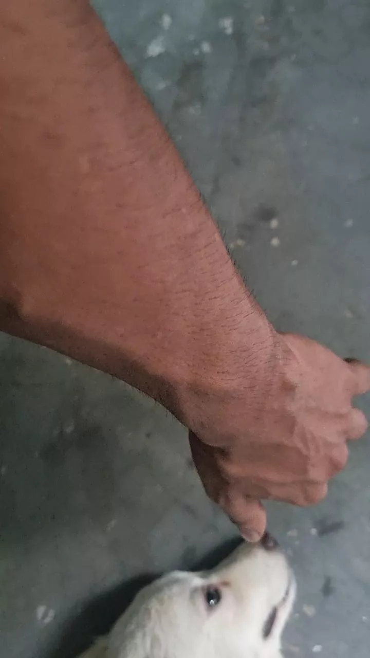 wgo wants to get choked by these