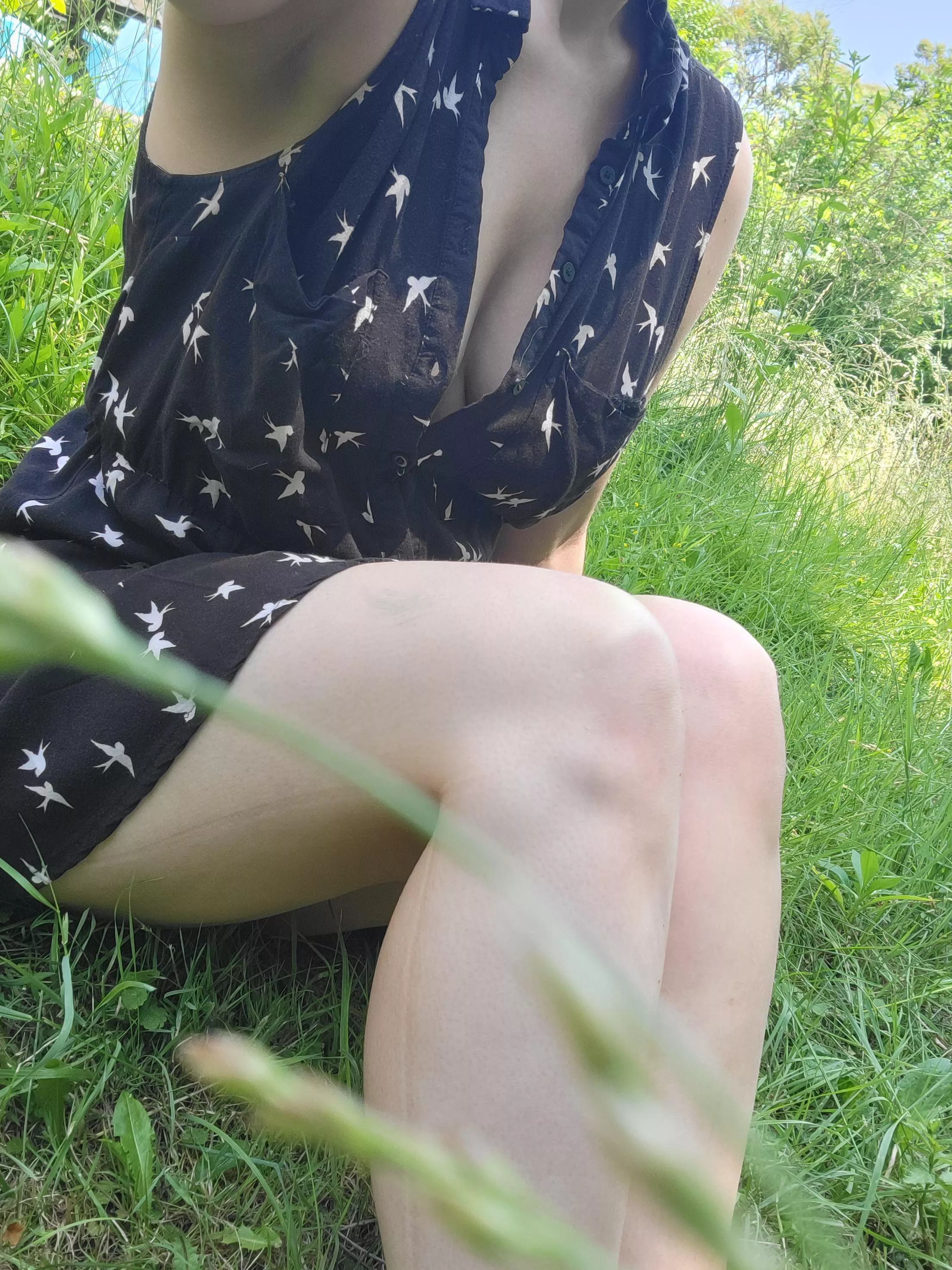 Enjoying the sun and the green grass 