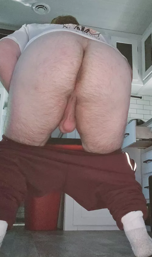 Hairy bear 🐻 Age: [27]