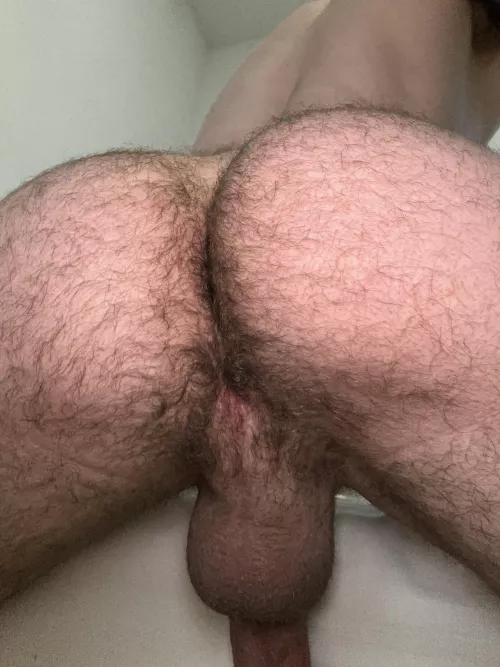 Haven’t had anyone eat me out before because I’m hairy, would you eat me out for the first time? 