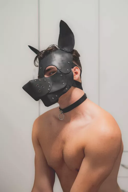 Hi puppies. This is my first pup hood.