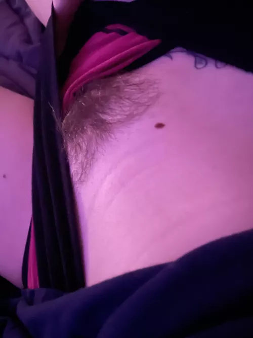 Midnight snack for any volunteers 