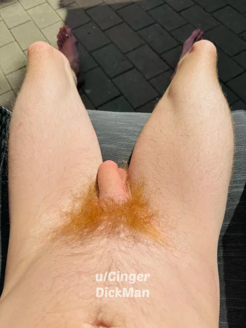 1-10 what does my red bush score 