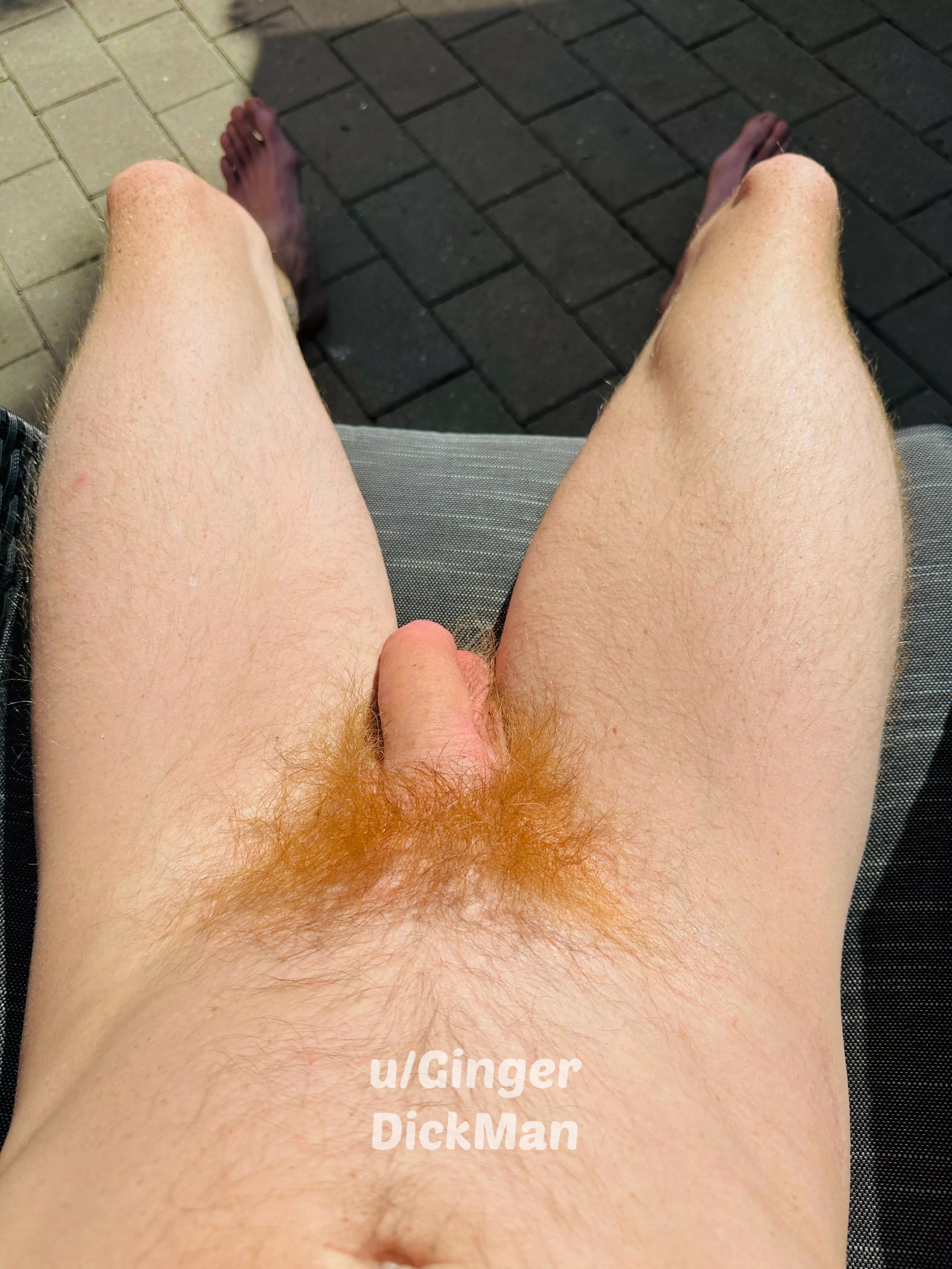 1-10 what does my red bush score 