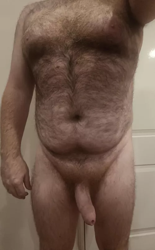 (39) Big and beefy Aussie 