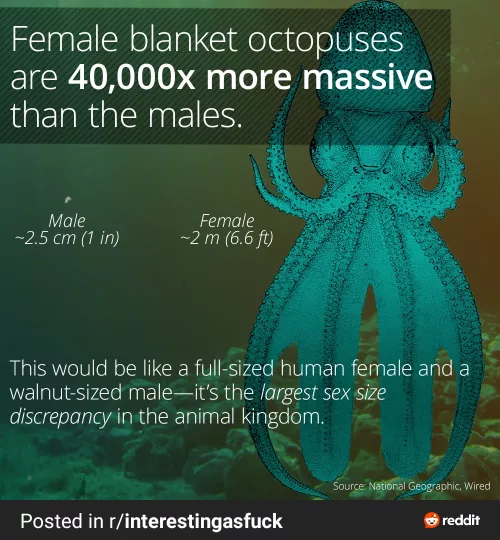 Hmm this reminds me of a subreddit but idk where where do you think this belongs?