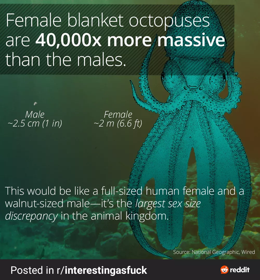 Hmm this reminds me of a subreddit but idk where where do you think this belongs? Hmm this reminds me of a subreddit but idk where where do you think this belongs?