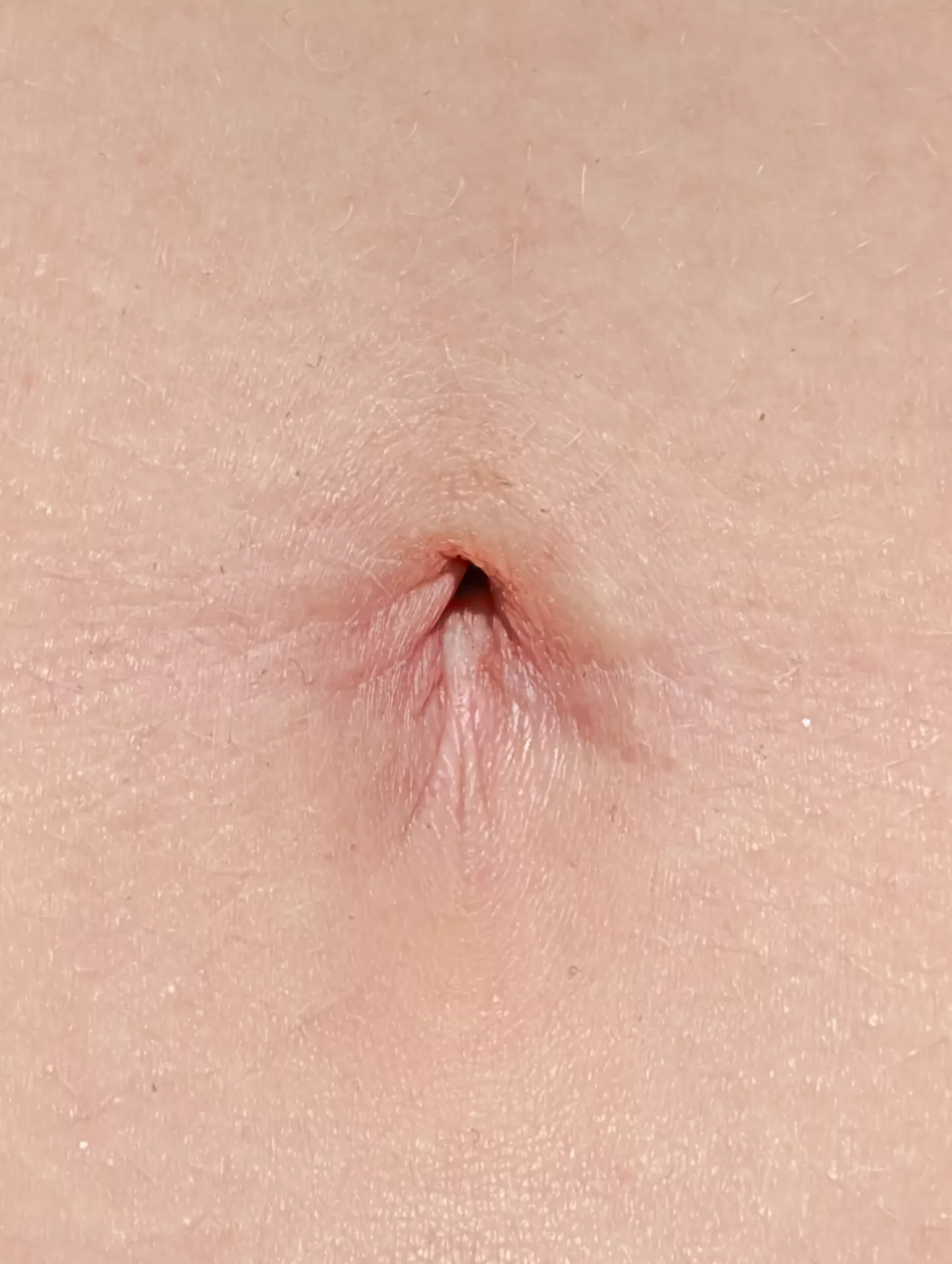 Nothing wrong with a nice close up!