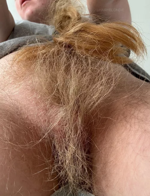 Welcome to the jungle