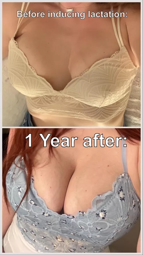1 year of making milk, never pregnant (before & 1 yr after inducing lactation)