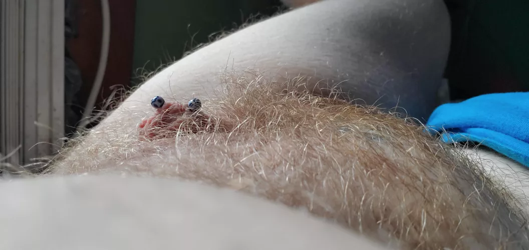 Climb the hairy ginger moundtain! 