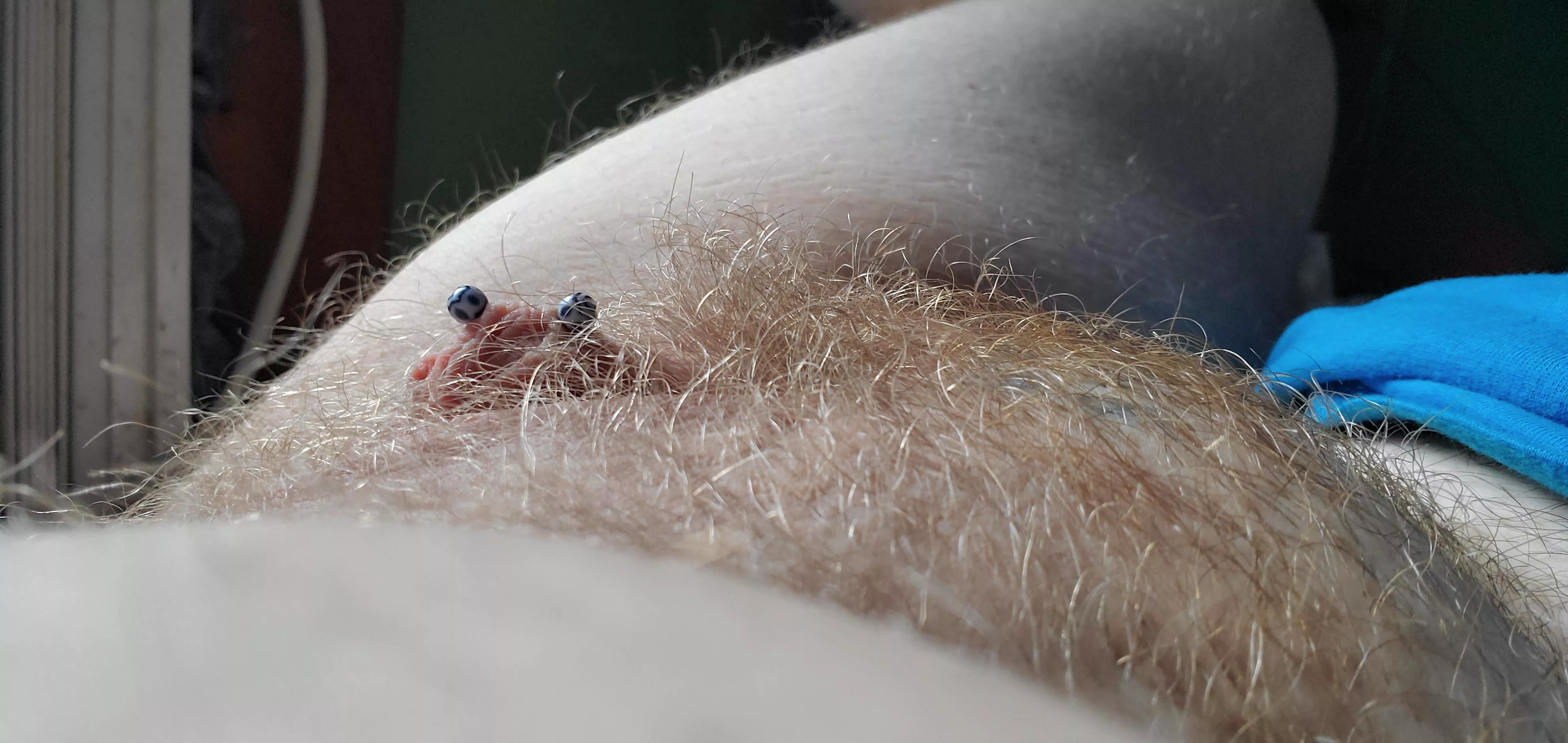 Climb the hairy ginger moundtain! 