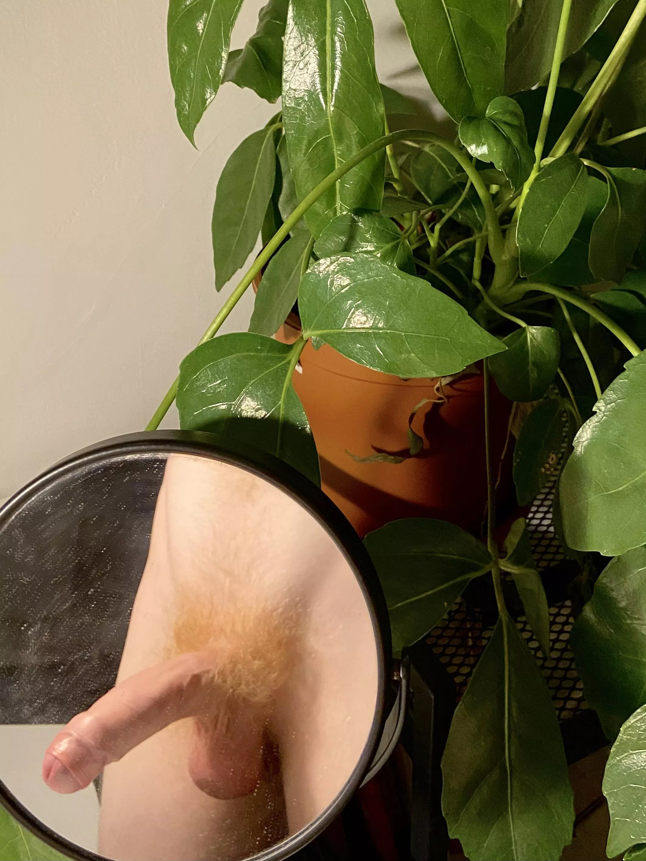 guess who’s dirtier, me or the mirror ?