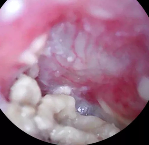 I finally have something amazing but I'm too stupid to figure out how to post it